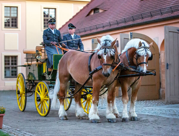 Landgestüt Moritzburg Görbert Lesung Kutschwagen