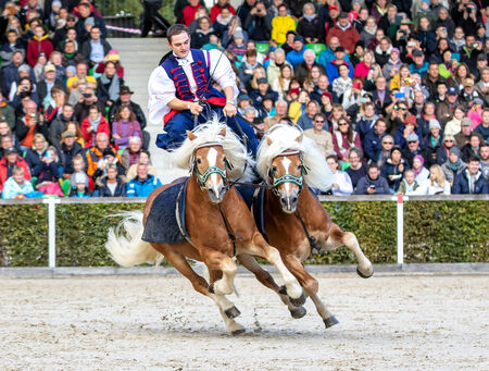 Hengstparade Moritzburg_2022