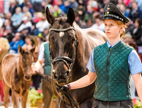 SGV zur agra Landwirtschaftsausstellung