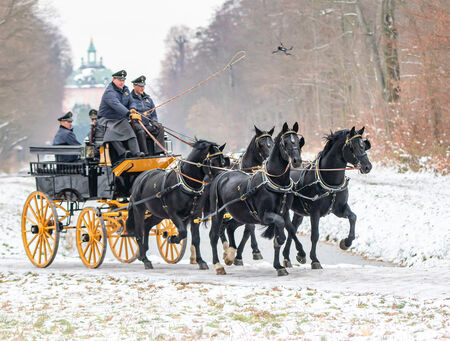 Weihnachten Landgestüt Moritzburg