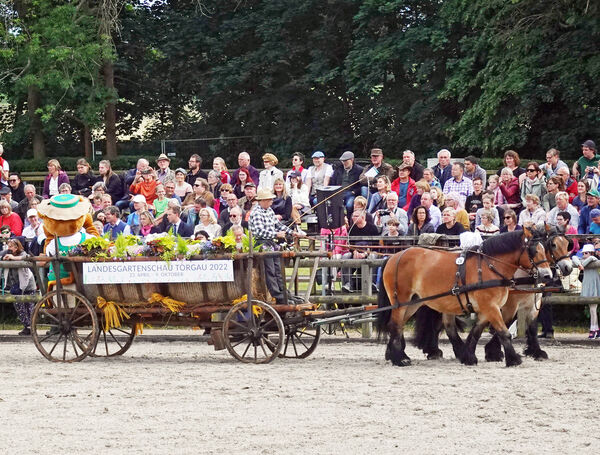 Gestütsschau Graditz 2022