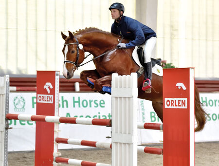 Landgestüt Moritzburg QUICKSTEP