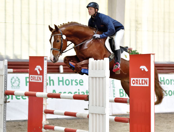 Landgestüt Moritzburg QUICKSTEP