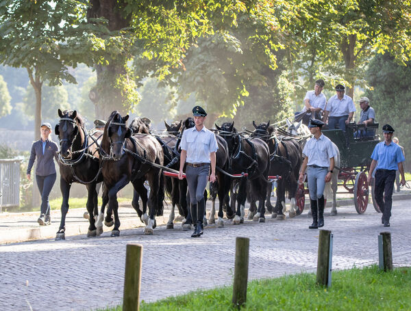 Generalproben Hengstparaden Moritzburg