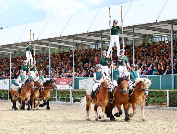 Hengstparaden Moritzburg 2022