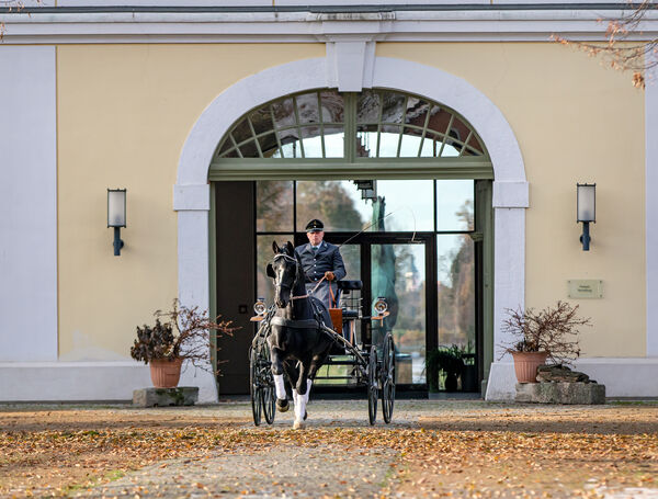 Eröffnung der neuen Dauerausstellung im Hauptgestüt Graditz