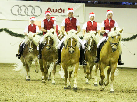 Haflingerweihnachtsquadrille - geritten von Auszubildenden