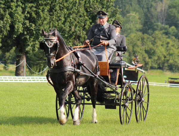 Capitano - Vizelandesmeister in Frohburg