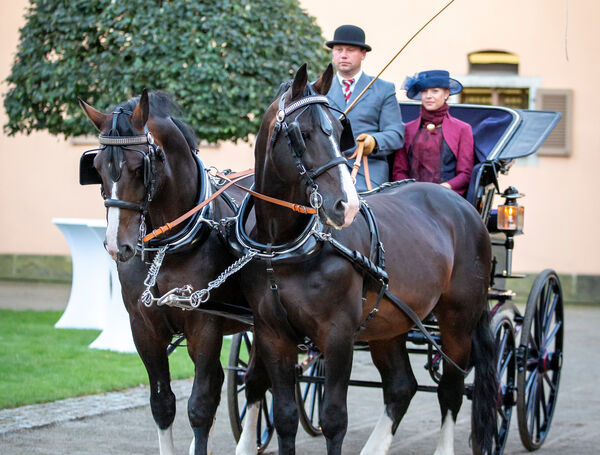 Landgestüt Moritzburg Görbert Lesung Kutschwagen