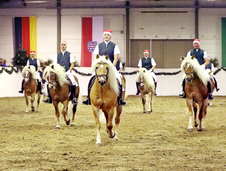 Absage Hengste im Advent Landgestüt Moritzburg