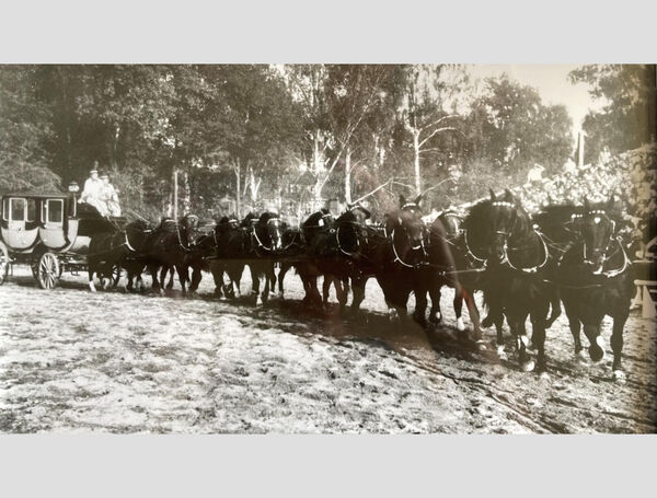 Fotowettbewerb Hengstparade