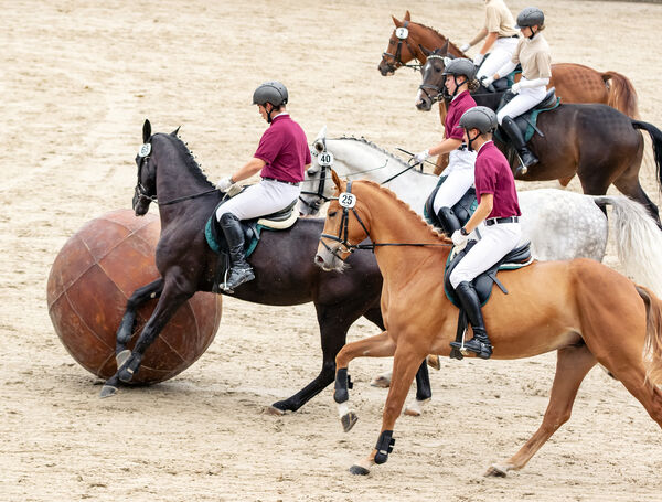 Hengstparade Moritzburg_2022