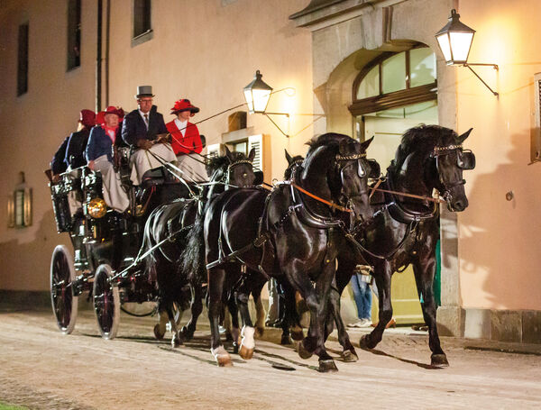 Musik und Hengste Landgestüt Moritzburg