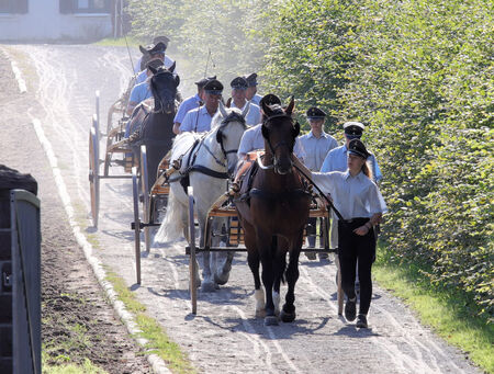 Training Moritzburger Hengstparaden