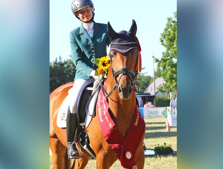 Championat Reitpferde Burgstädt