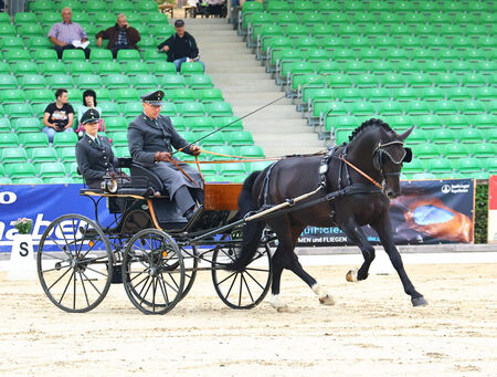 Bundeschampionat Moritzburg