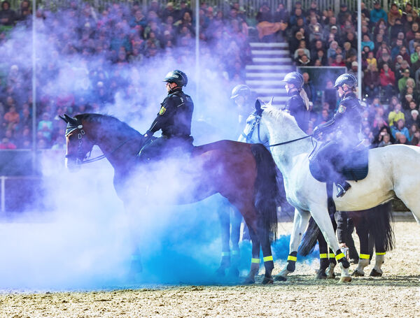 Hengstparade Moritzburg_2022