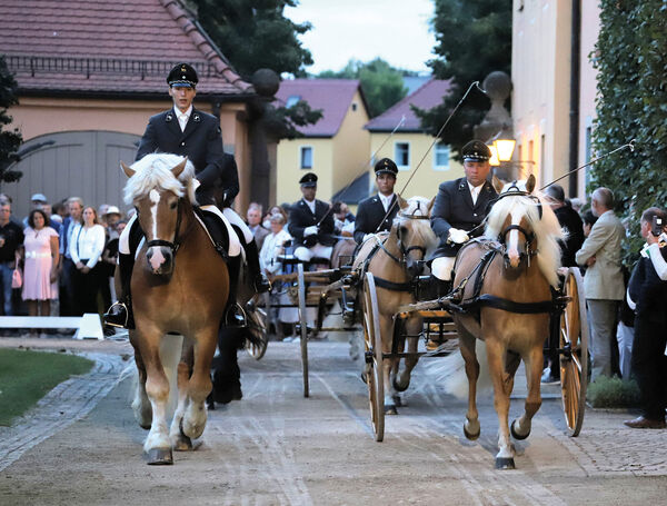 Musik und Hengste Landgestüt Moritzburg