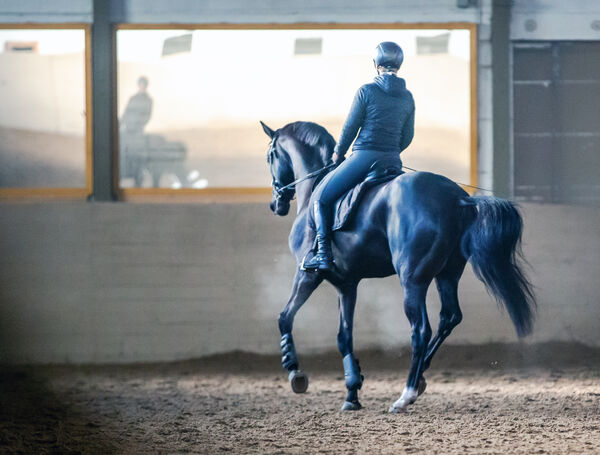 Freie Plätze im Lehrgang Trainer B Reiten