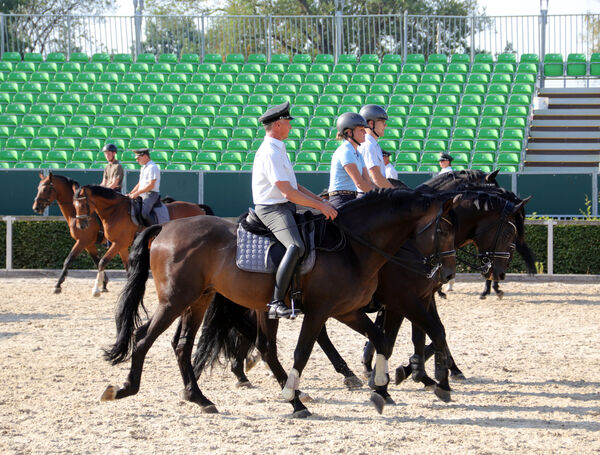 Training Moritzburger Hengstparaden