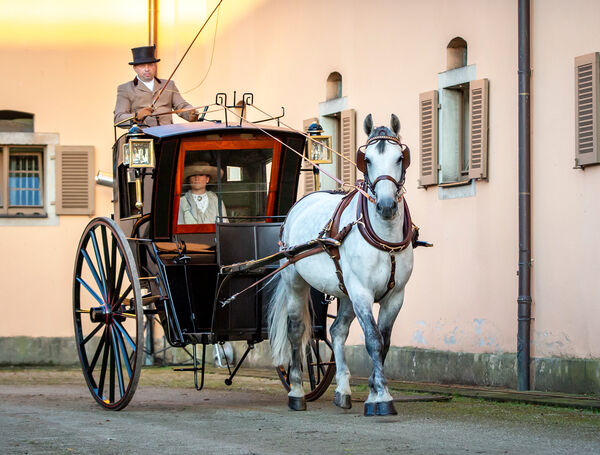 Landgestüt Moritzburg Görbert Lesung Kutschwagen