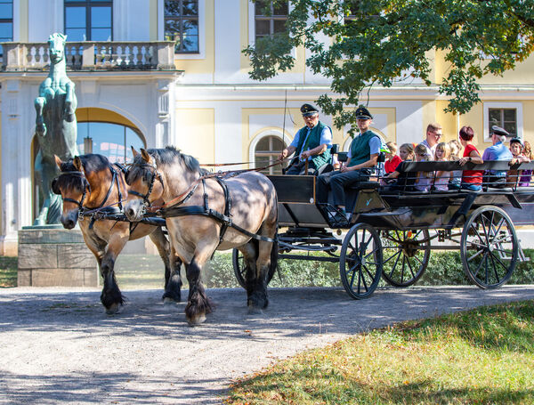 Kindertag im Hauptgestüt Graditz