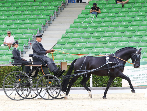 Bundeschampionat Fahrpferde Landgestüt Moritzburg