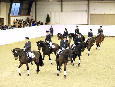 Hengstpräsentation Reitpferde Moritzburg