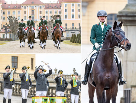 Hengstpräsentation Moritzburg 2022