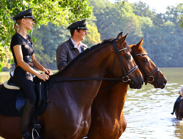 Hengstparade Landgestüt Moritzburg