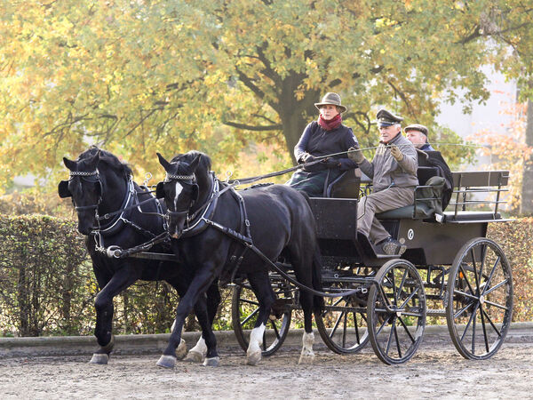 Fahrlehrgang in Moritzburg