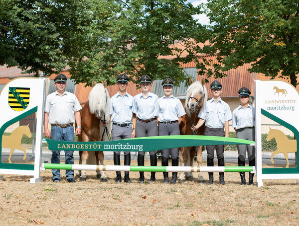 Ausbildung Pferdewirt SGV