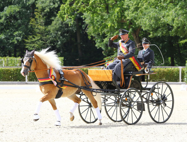 Landgestüt Moritzburg Fahrponychampionat 2020