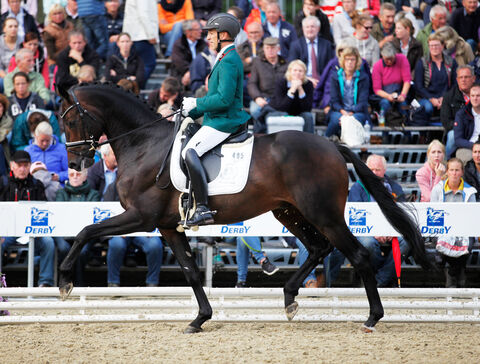 Freiherr von Stein unter Kay Pawlowska zum BC 2017