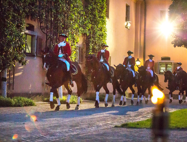 Spalierobst im historischen Innenhof des Landgestüts