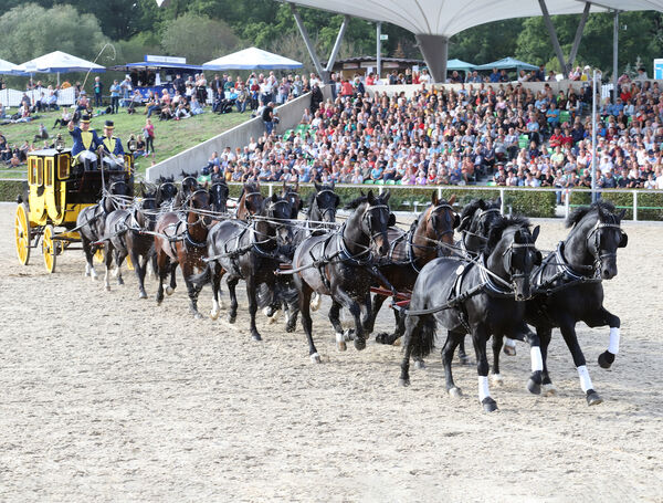 Hengstparaden Moritzburg 2022