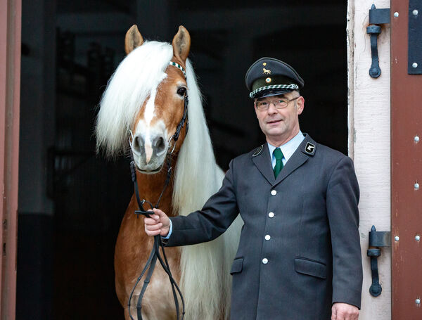 Hengstpräsentationen auf den Deckstationen