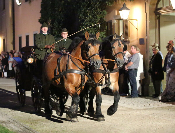 Musik und Hengste Landgestüt Moritzburg