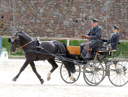 Loriot Landgestüt Moritzburg