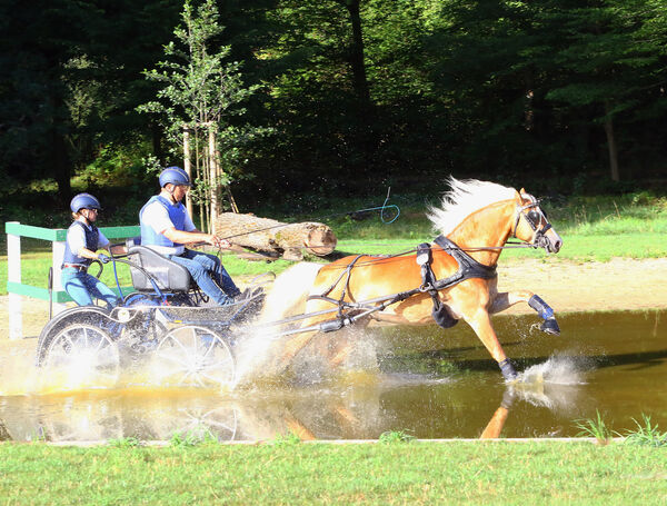 Landgestüt Moritzburg Fahrponychampionat 2020