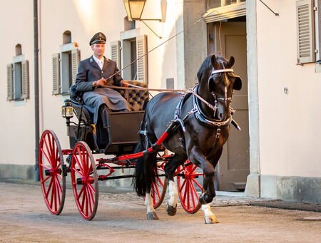 Landgestüt Moritzburg Görbert Lesung Kutschwagen