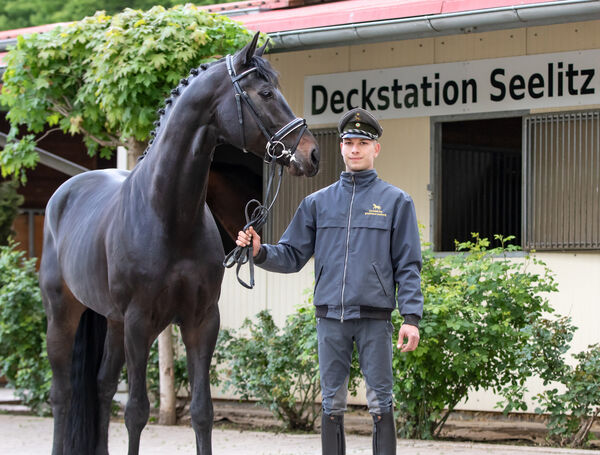 SGV Deckstation Seelitz