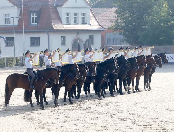 Generalprobe Hengstparade Moritzburg