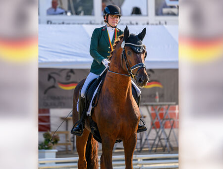 Viva Vitalis zum Bundeschampionat