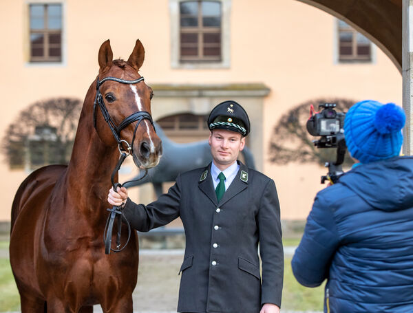 Hengstpräsentation Moritzburg 2022