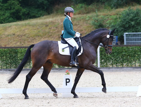 Landgestüt Moritzburg Bundeschampionat